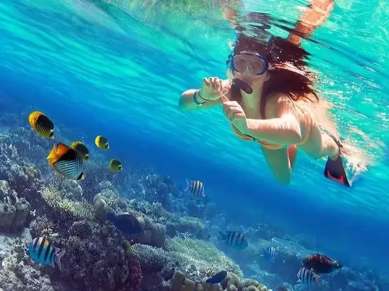 Snorkeler observing tropical fish in the clear water of Coral Island