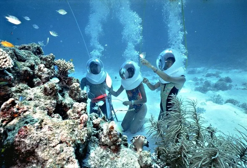 Coral Island Tours