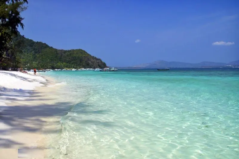 Coral Island Tours