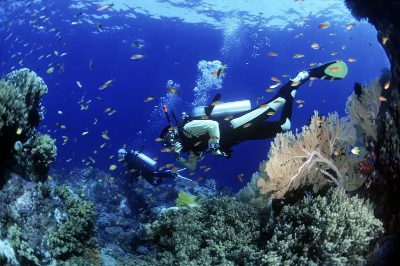 Coral Island Tours