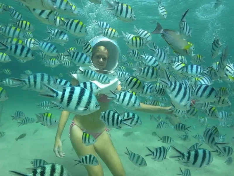 Coral Island Sea Walking Tours