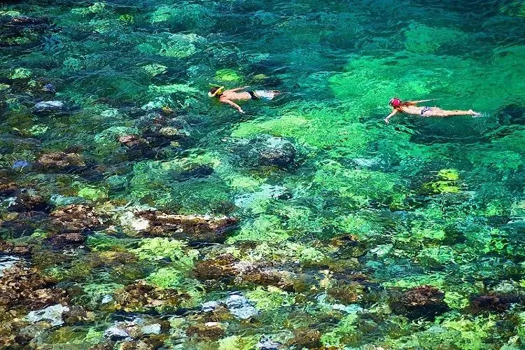 Coral Island Tours