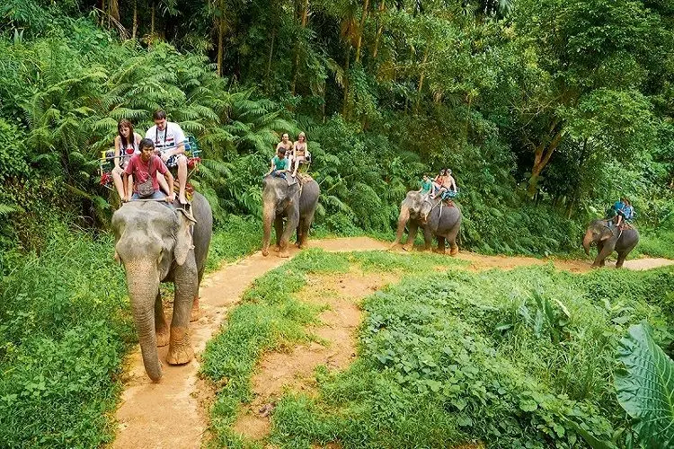 Phuket elephant trekking