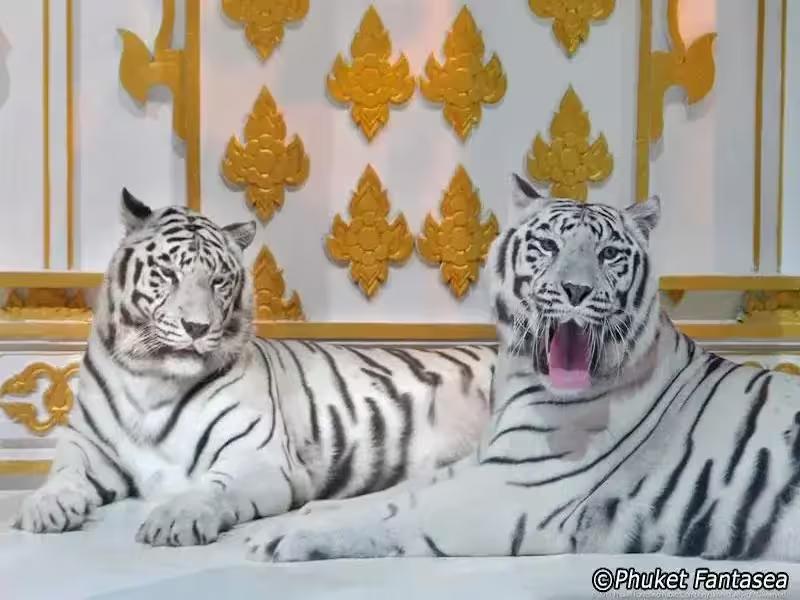 The iconic golden lion statue at the entrance of Phuket FantaSea theme park