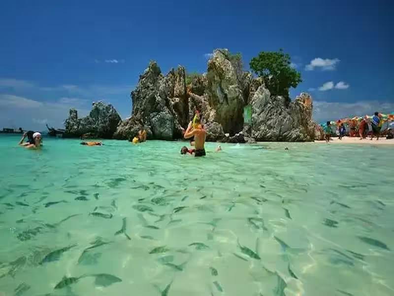 Children feeding friendly tropical fish in the shallow waters on a Khai Islands half-day tour