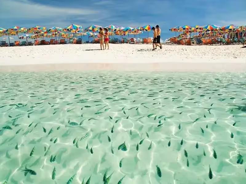 Enjoying a beach lunch on a full day tour to the Khai Islands and Mai Thon Island from Phuket