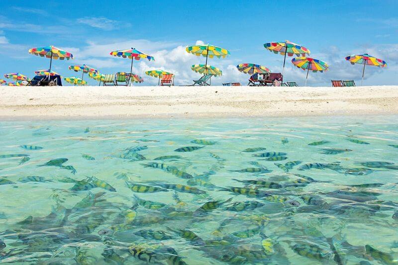 Phi Phi Islands speedboat tour from Phuket with premium speedboat and turquoise waters