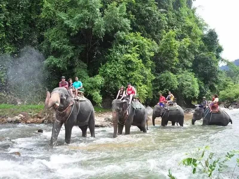 Elephant trekking through a river on a Phuket adventure tour
