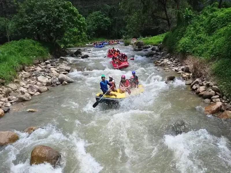 Group white water rafting on a river in Phang Nga on a tour from Phuket