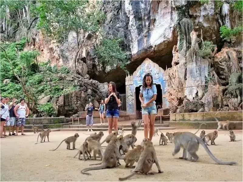 Monkeys at the entrance of Suwankuha Temple near Phuket