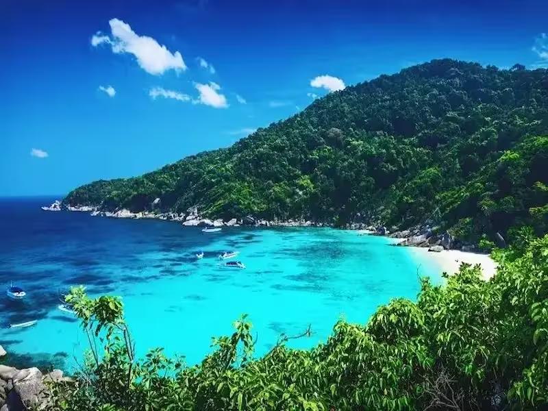 Underwater view of the rocky coral reef and tropical fish at Koh Bangu (Island #9), Similan Islands