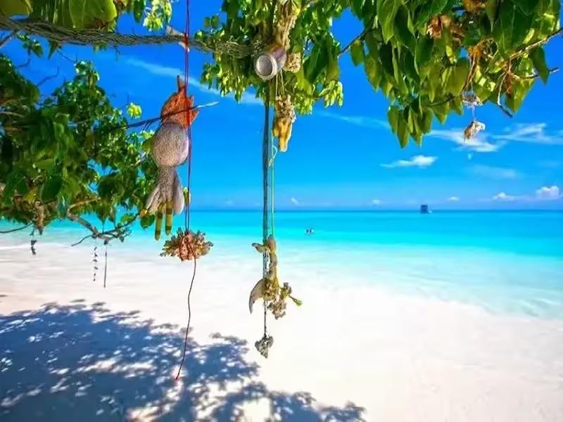 Aerial view of the turquoise bay and lush jungle on Koh Miang (Island #4) in the Similan Islands
