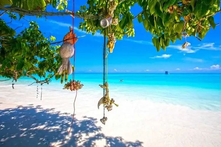 Koh Miang (Island #4)