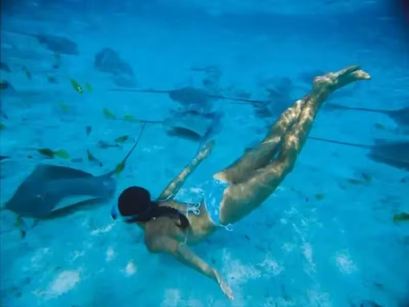 A stingray gliding over the coral reef in the Surin Islands